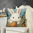 thumbnail image 2 of YINGXI Spring Throw Pillow Covers Easter Day Eggs Rabbit Carrot Rustic Farm Truck Pillowcase Home Sofa Cushion Cover 22x22in, 2 of 5