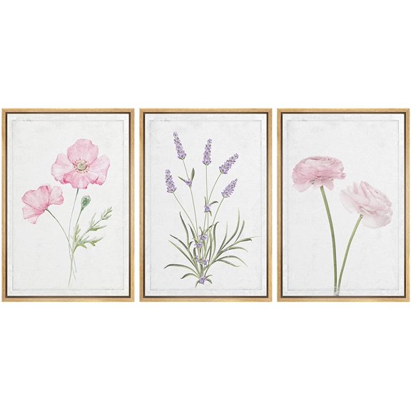 wall26 Framed Canvas Print Wall Art Set Daisy, Lavender & Rose Flower Variety Floral Wilderness Illustrations Minimalism Rustic Colorful Ultra for Living Room, Bedroom, Office - 16"x24"