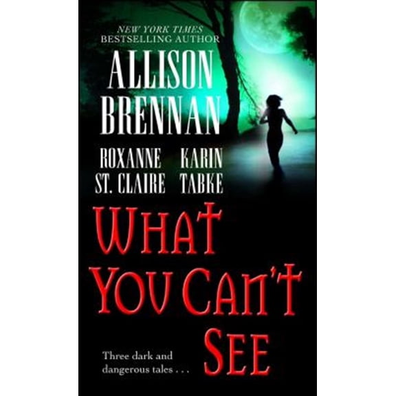 Pre-Owned What You Can't See (Paperback)