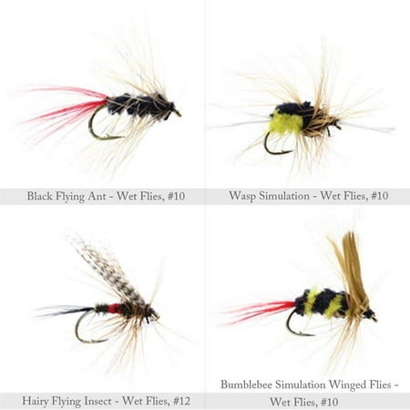 60pcs Fly Fishing Dry Flies Wet Flies Assortment Kit with Waterproof Fly  Box for Trout Fishing