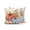 Orange Beige, variant on Outdoor Pillows Waterproof, Orange Blue Pumpkins Fall Bedding Throw Pillows with Insert for Couch Sofa Bed, Thanksgiving Sunflower Birds Beige 18x18 Inch Pillowcases Decorative Patio Pillow Set of 2