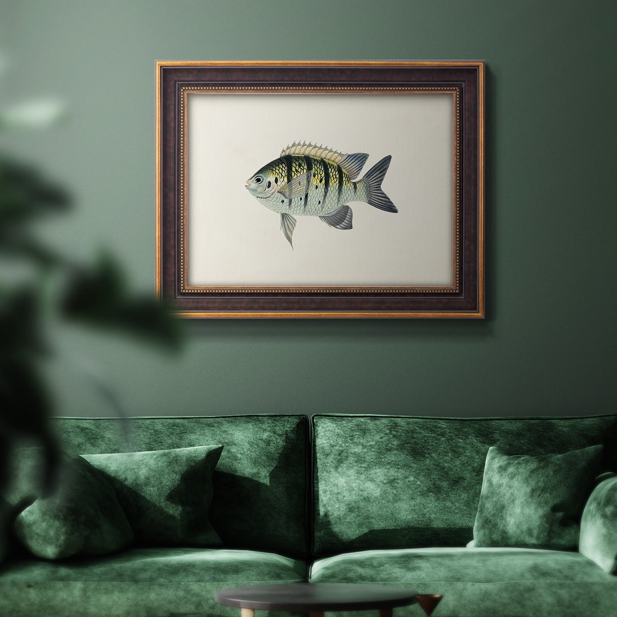 Tropical Fish Collection VI Premium Framed Canvas- Ready to Hang