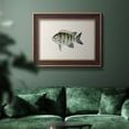 thumbnail image 5 of Tropical Fish Collection VI Premium Framed Canvas- Ready to Hang, 5 of 5
