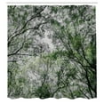 thumbnail image 3 of Ambesonne Scenery Shower Curtain, Spring Season Jungle, 69"Wx75"L, Green, 3 of 5