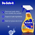 DeSolvit Citrus Solution 32 oz
