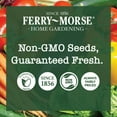 thumbnail image 4 of Ferry-Morse Pollinator Wildflower Garden Non-GMO Seed Variety Pack - 8 Pack, 4 of 5