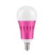 thumbnail image 1 of Bombilla de control remoto con aplicación de luz inteligente Wifi RGB + W de 7W compatible con Alexa Google Home AC85-265V (E14), 1 of 8