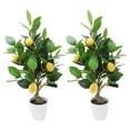thumbnail image 3 of 2Pcs 20 Inches Artificial Lemon Tree, Fake Citrus Tree in Pot Faux Potted Plants for Home Office Living Room Table Decor, 3 of 7