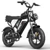20''-Peak 1500W-48V 25AH