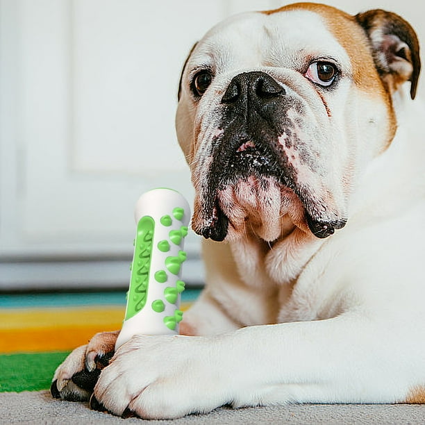 Dog Toothbrush Toy Dog Brush Stick Dog Teeth Cleaning Toys Dog