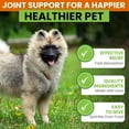 thumbnail image 5 of Turmeric and Curcumin for Dogs - 180 Count Tablet Treats – Helps Shedding, Skin Allergy, Itch and Dry Skin Relief, Hot Spots - Skin and Coat Supplement - Salmon Oil - Duck Flavor - Joint Health, 5 of 8
