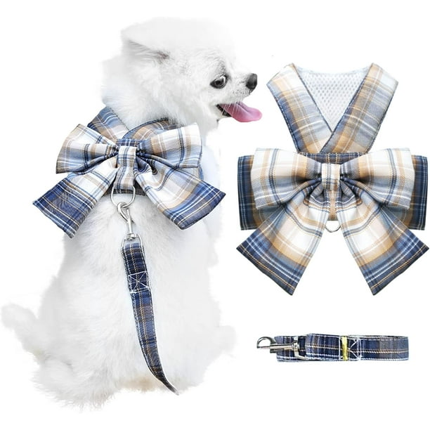 small dog harness with bow tie
