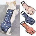 thumbnail image 2 of CSChome Pet Menstrual Pants Reusable Pet Diaper - Waterproof Dog Strap Briefs, Cartoon Pattern with Snap Button, 2 of 6