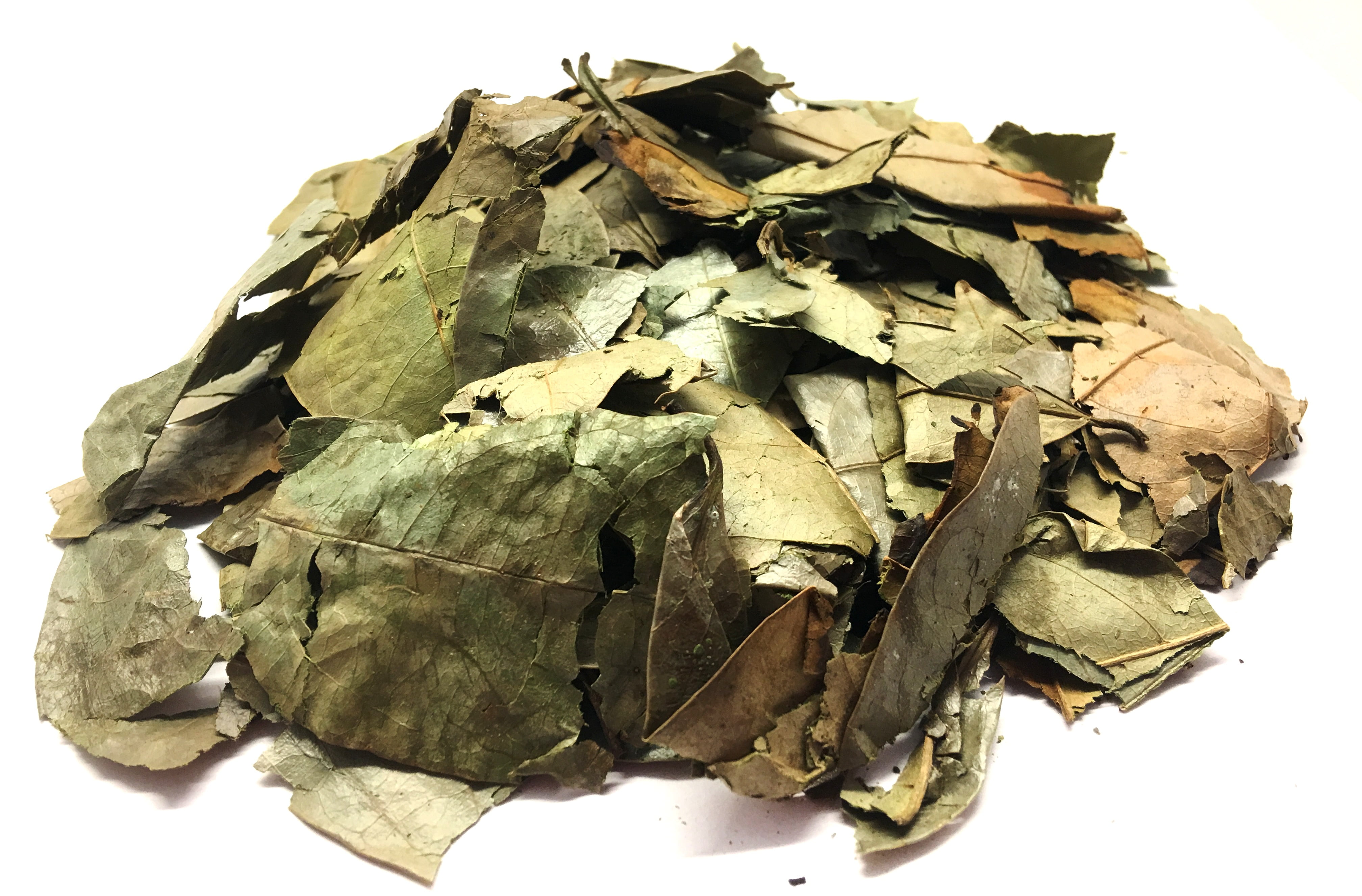 Buy Soursop Leaves Hoja de Guanabana Herbal Infusion Value Pack (105g