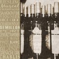 thumbnail image 3 of Wolk, Lisa 15x15 Black Modern Framed Museum Art Print Titled - White Wine Variety, 3 of 5