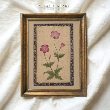 Mughal Botanical Pink Flower Floral Wall Art Expressive Botanical Theme For Office And Gallery Wall Decor