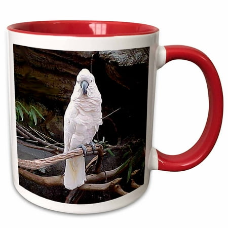 Red Cockatoo - 3dRose Moluccan Cockatoo - Two Tone Red Mug, 11-ounce