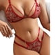 thumbnail image 5 of Conjunto de ropa interior sexy con sujetador y flores bordadas en tres dimensiones y tres puntos, 5 of 5