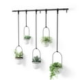 thumbnail image 1 of Umbra Triflora Hanging Planter, Set of 5, 1 of 6