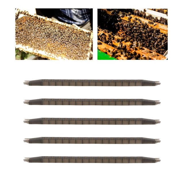 Kit de barra de copa de celda de abeja reina 5 piezas marco de barra de celda de abeja reina ligero estable lineal para apicultura ANGGREK Otros