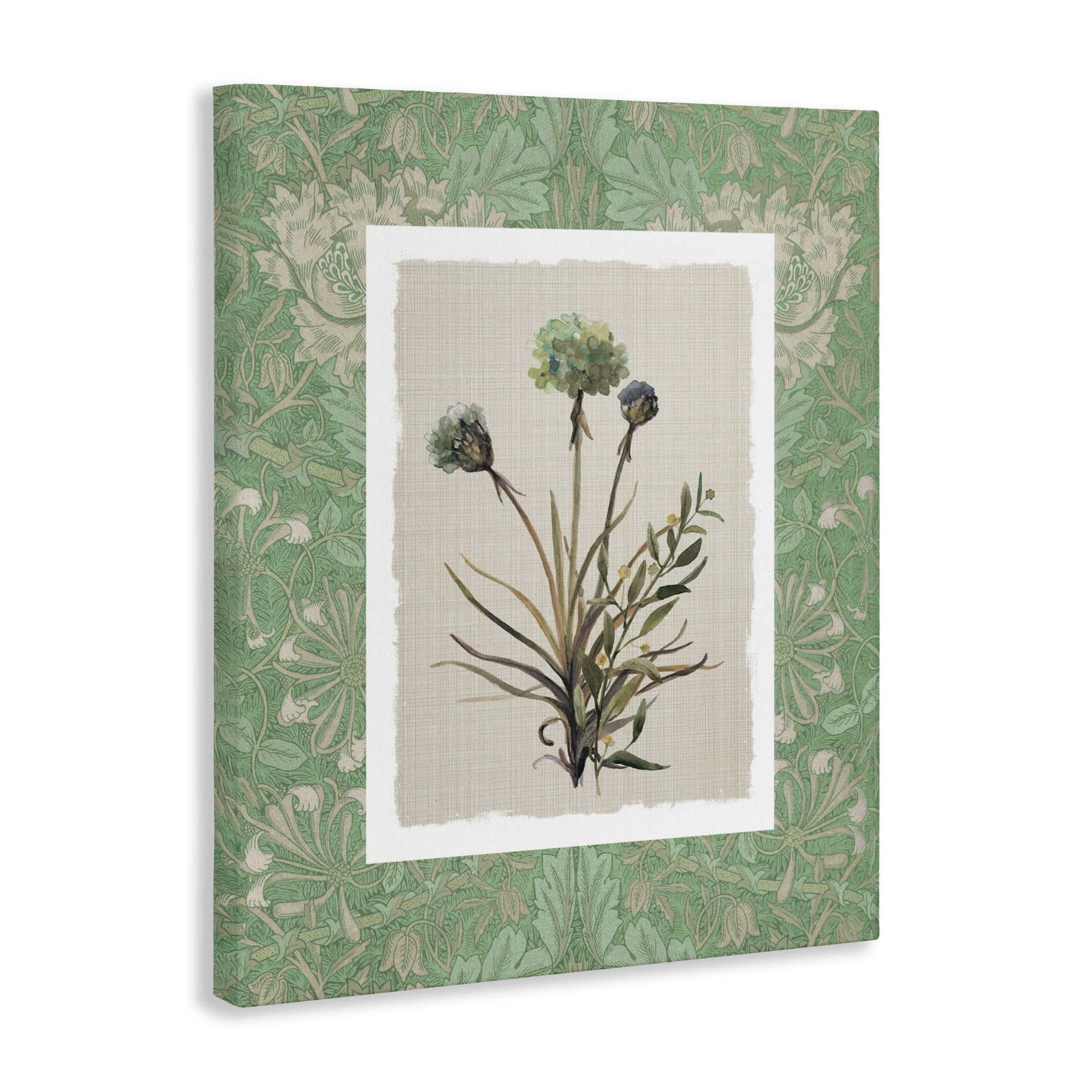 Stupell Industries Vintage Foliage in Green Canvas Wall Art, design by Carol Robinson