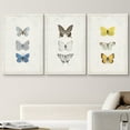 thumbnail image 2 of wall26 Canvas Print Wall Art Set Blue, Black &amp; Yellow Butterfly Collection Insects Wilderness Watercolor Realism Rustic Colorful Multicolor Ultra for Living Room, Bedroom, Office - 16"x24&qu, 2 of 5