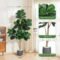 thumbnail image 3 of Huisuilinss Artificial Fiddle Leaf Fig Tree,Faux Ficus Lyrata Tree With Planter Pot,Fake Ficus lyrata Silk Tree,Tall Fake Tree,Indoor Floor Plant For Home Office Living Room Decor,Housewarming Gift, 3 of 8