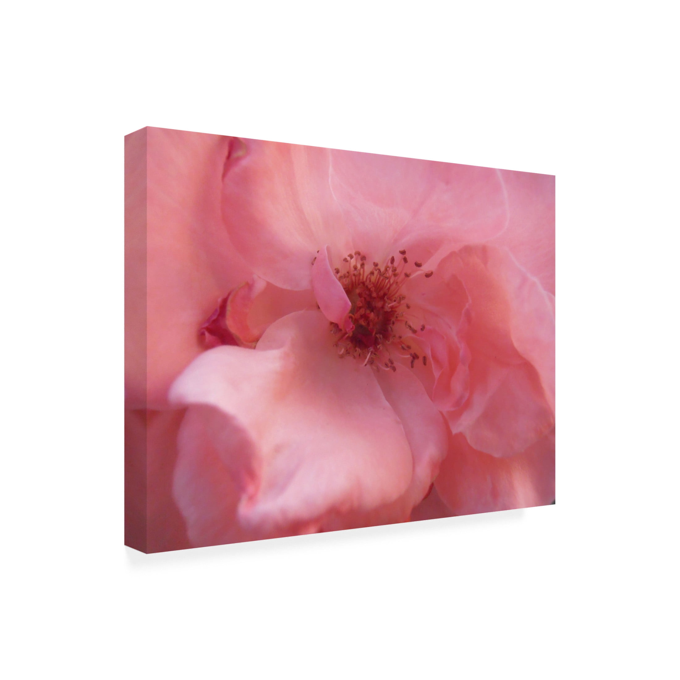 Canvas Wall Art - Snezana Petrovic 'Lovely Pink' Wall Art for Living Room, Bedroom, or Office D?cor by Trademark Fine Art - 32 x 24 Inches