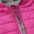 thumbnail image 4 of Baby Solid Color Dinosaur Padded Sleeveless Zipper Hooded Waistcoat, 4 of 6