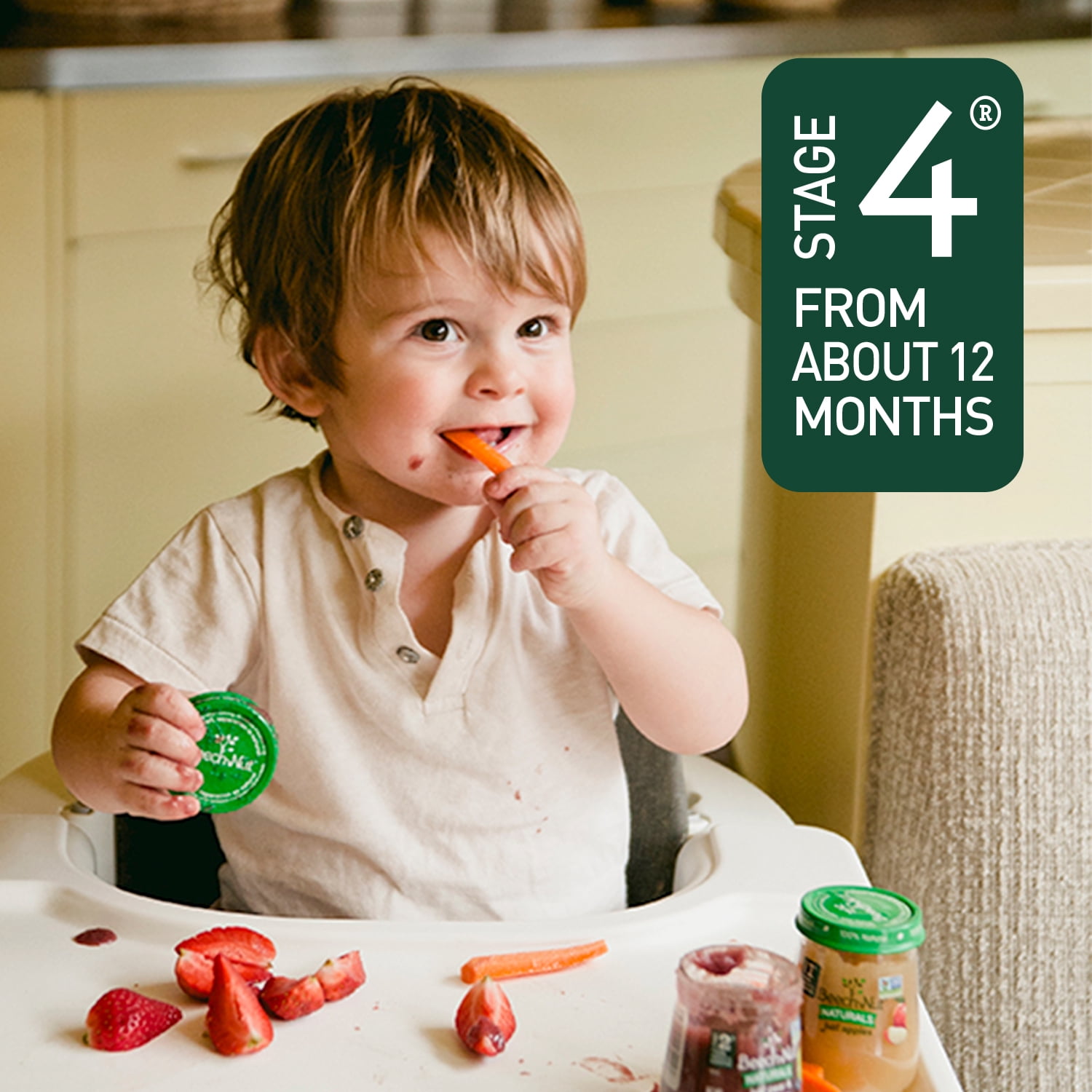 (40 Pack) Beech-Nut Natural Toddler Food, Apple & Spinach Baby Snack, 3.9 oz Box