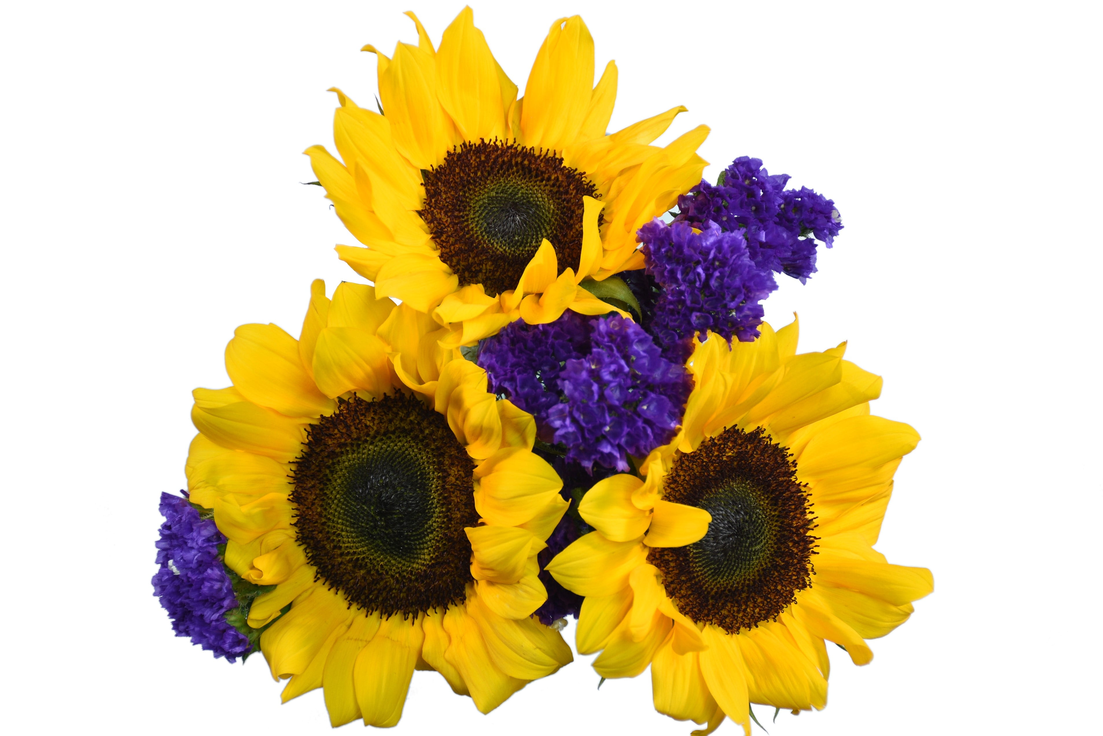 Fresh-Cut Sunflower and Flower Bunch, 3 Stems, Colors Vary - Walmart.com
