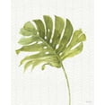 thumbnail image 2 of Audit, Lisa 15x18 White Modern Wood Framed Museum Art Print Titled - Mixed Greens LXXVII, 2 of 4