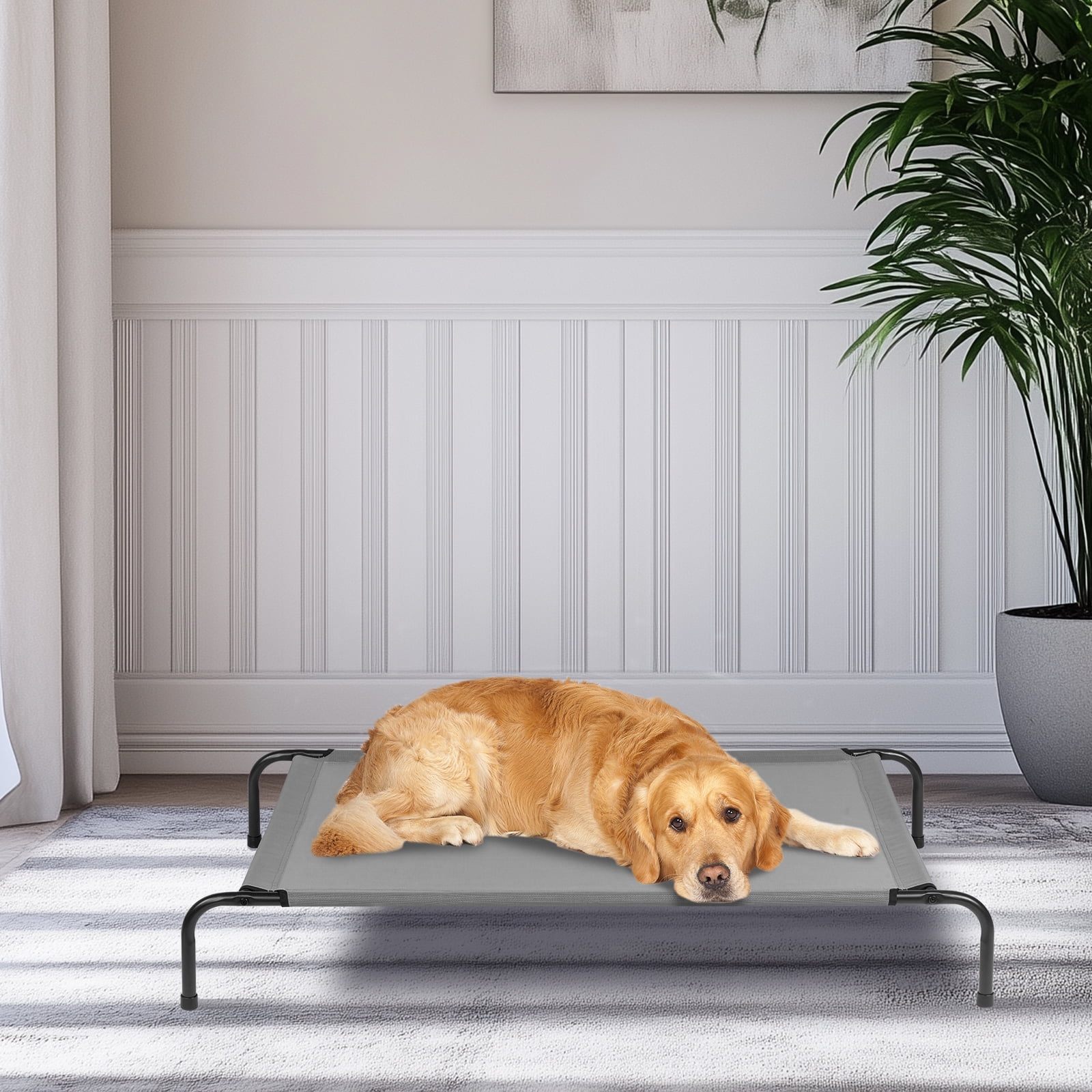ZephyPaws 50" Elevated Dog Bed, Raised Pet Cot with Steel Frame, Cooling Mesh Lounger for Dogs up to 80 lbs, Gray
