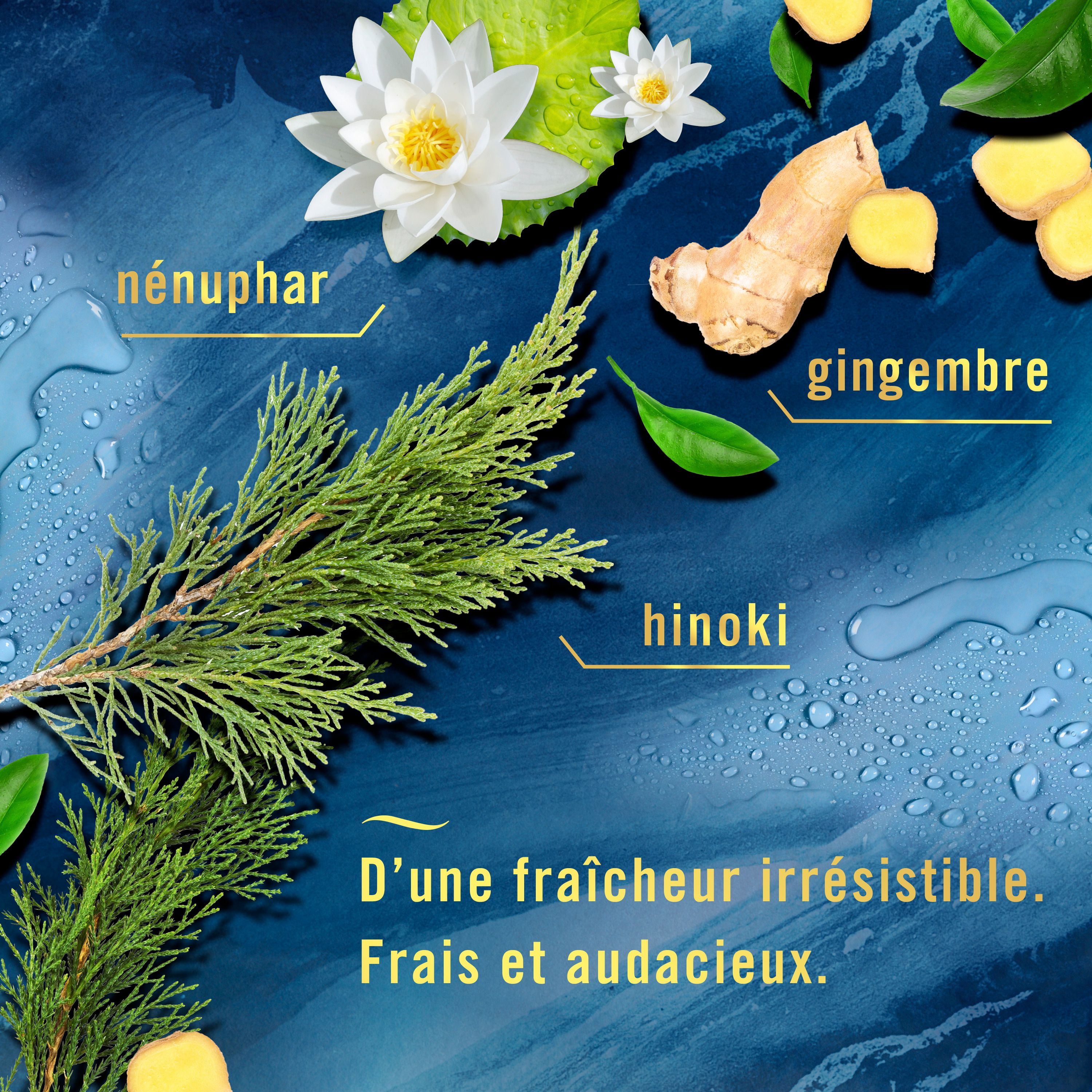 Assainisseur d’air en vaporisateur Febreze, assainisseur d’air pour la maison, parfum Océan, 250g, 2unités 250G