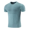 thumbnail image 3 of Men's Quick Dry Running T-Shirt Summer Casual Short Sleeve Crewneck Tops Athletic Stretch Workout Tee Shirts, 3 of 4