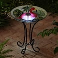 thumbnail image 3 of Bañera para Pájaros Solar LED Hi Line Gift Ltd. con Soporte de Flamenco, 3 of 9