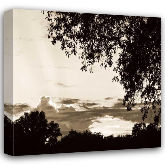 Alan Hausenflock 26x26 Gallery Wrapped Canvas Wall Art Titled - Sunset Trees Sepia Sq I