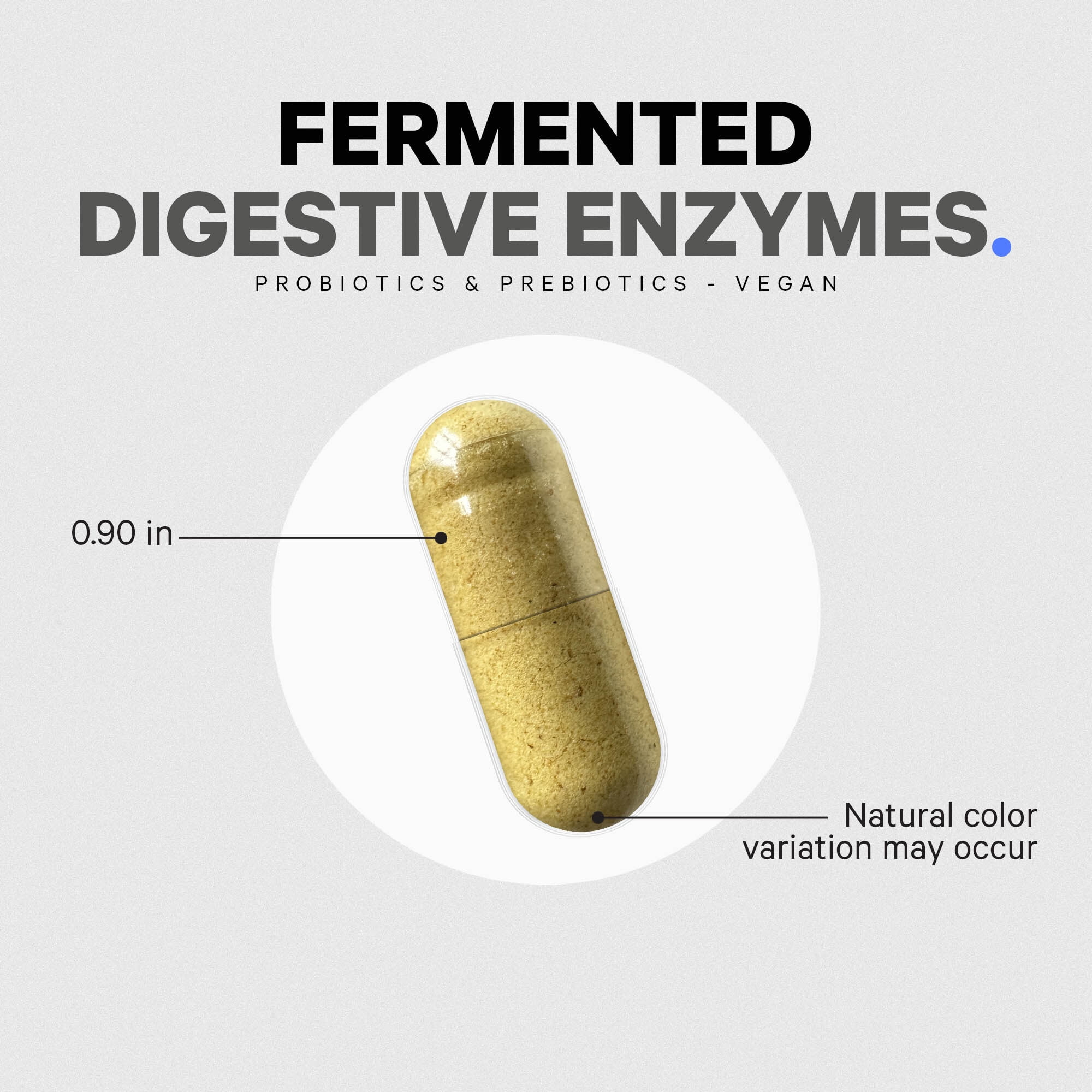 Codeage Fermented Digestive Enzymes Supplement - 14 Digestive Enzymes, Probiotics, Prebiotics, Fermented Botanicals, Plant-Based Multi Pancreatic Enzymes - 1 Capsule a Day - 30 Capsules