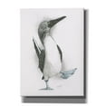 thumbnail image 1 of Epic Graffiti 'Happy Feet' by Barbara Keith, Canvas Wall Art, 40"x54", 1 of 8
