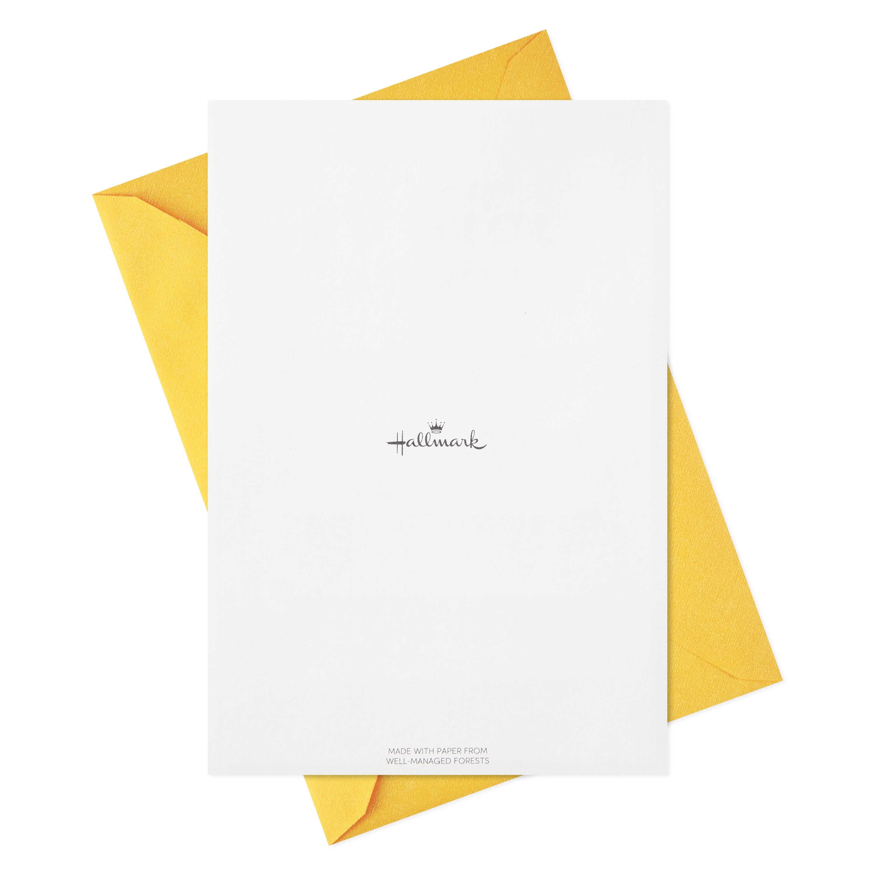 Hallmark Party Invitations, Diagonal Rainbow Stripes, 10 ct.