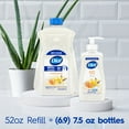 thumbnail image 6 of Dial Clean + Gentle Liquid Hand Soap Refill, Vanilla & Honey Gentle Hand Soap, 52 oz, 6 of 15