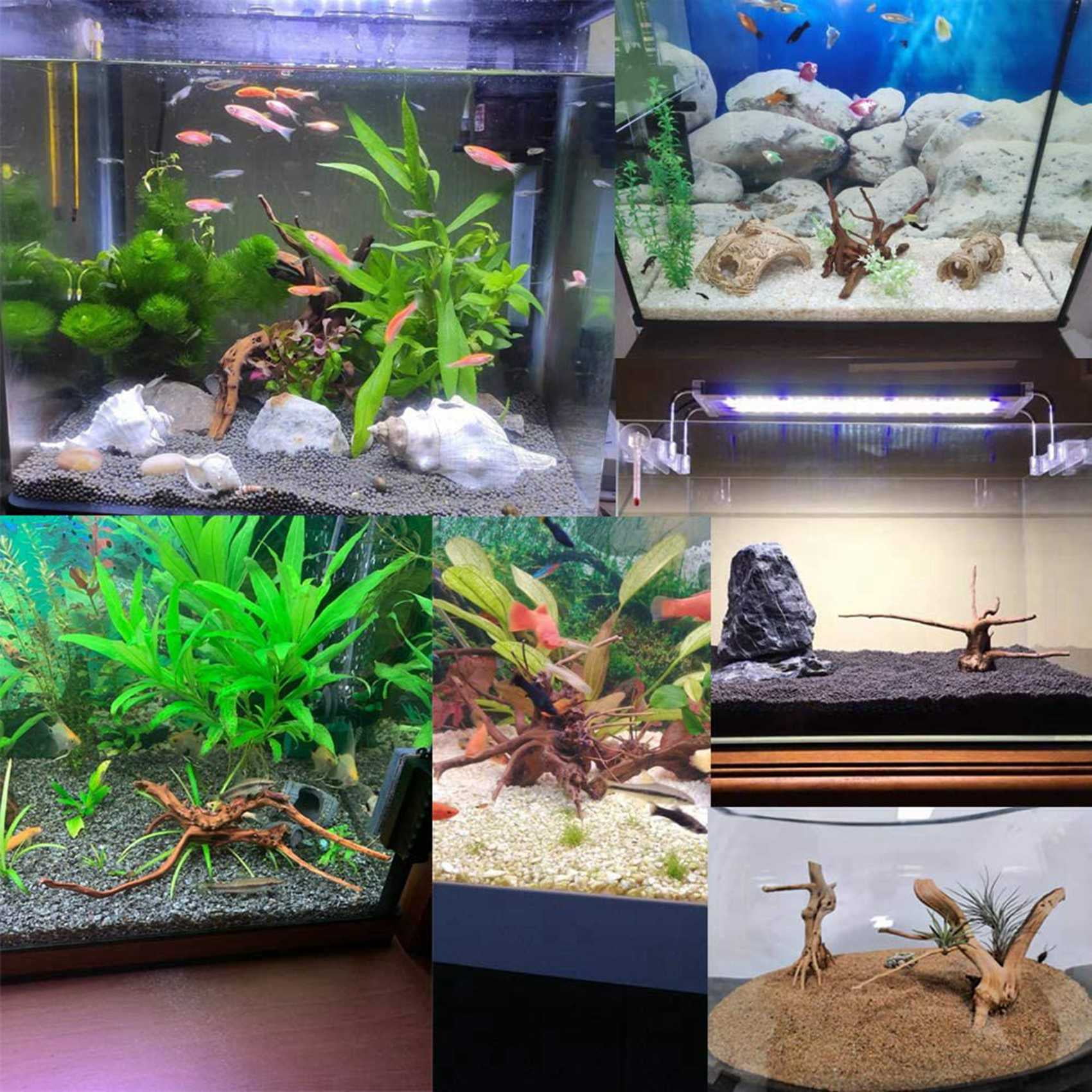 Mini Driftwood for Aquarium Natural Wood Branches Fish Tank Decorations Tree Trunk Driftwood Assorted(20 Pack)