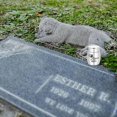 thumbnail image 4 of 1 Piece Stainless Steel Mini Dog Urns Small Keepsake Urns For Pets Cremation Container Memorial Jar For Pet Ashes, 4 of 5