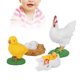 thumbnail image 5 of Juguete de simulación Animal BuyWeekMX modelo ciclo de crecimiento de gallo, 5 of 9