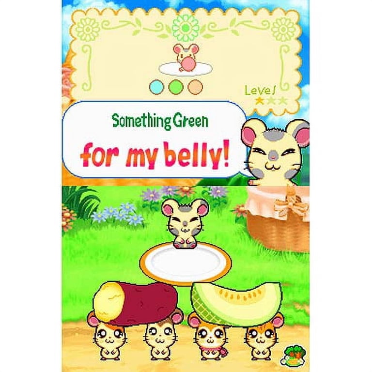 Hi! Hamtaro: Ham-Ham Challenge, Nintendo DS, brain training game