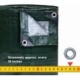 thumbnail image 2 of Tarp Supply, Inc. - 18' x 24' Heavy Duty Green/Silver Poly Tarp with Aluminum Grommets and Reinforced Corners, Waterproof, UV Resistant 8 Mil, 2 of 9