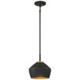 thumbnail image 2 of Miseno FL96012 9 in. 100W 1-Light Medium E-26 Pendant with Antique Brass, Black, 2 of 5