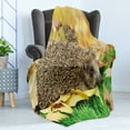 thumbnail image 4 of Hedgehog Soft Flannel Fleece Throw Blanket, Little Hedgehog on Autumn Leaves in Forest Scenes from World, Cozy Plush for Indoor and Outdoor Use, 60" x 80", Brown Earth Yellow Green, by Ambesonne, 4 of 5