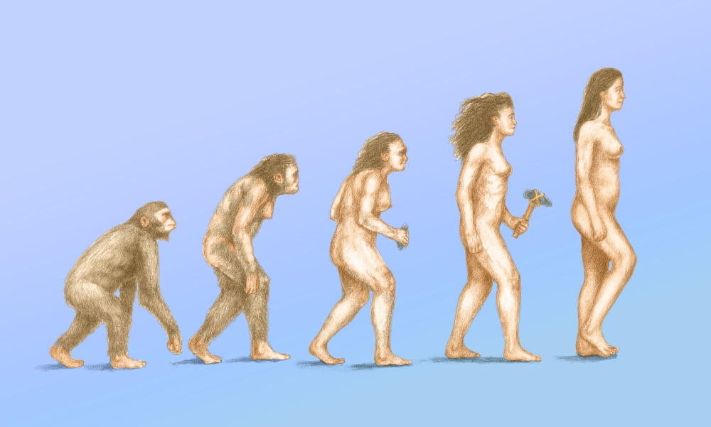 Human Evolution Poster Print by Spencer Sutton/Science Source (24 x 18) is ...