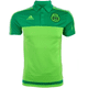 thumbnail image 1 of Playera Polo Adidas Selección Mexicana FMF Hombre S13124 verde M, 1 of 2
